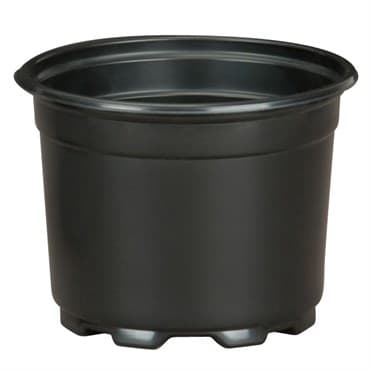 DLN 05.00 AZ SHORT COEX     BLK/BLK 675/CS 36CS/PL — photo 1 of 2