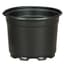 DLN 05.00 AZ SHORT COEX     BLK/BLK 675/CS 36CS/PL — thumbnail 1 of 2