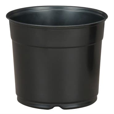 DLN 05.50 RND AZ TRAD COEX BLK/BLK 496/CS 32CS/PL — photo 1 of 2