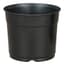 DLN 05.50 RND AZ TRAD COEX BLK/BLK 496/CS 32CS/PL — thumbnail 1 of 2