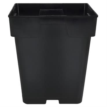 DLN 05.50 SQ JUMBO T/W TL  BLK 288/CS 36CS/PL — photo 1 of 2