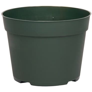 DLN 06.50 RND AZ TRAD T/W 300GN    240/CS 48CS/PL — photo 1 of 2