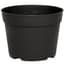 DLN 06.50 RND AZ TRAD T/W   BLK 240/CS 48CS/PL — thumbnail 1 of 2