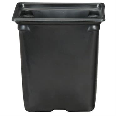 DLN M6 SQ COEX  BLK/BLK 468/CS 36CS/PL — photo 1 of 2