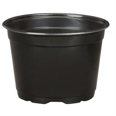 DLN 17.00 CM EURO POT COEX SHORT BLK 300/CS 32CS/P — photo 1 of 2