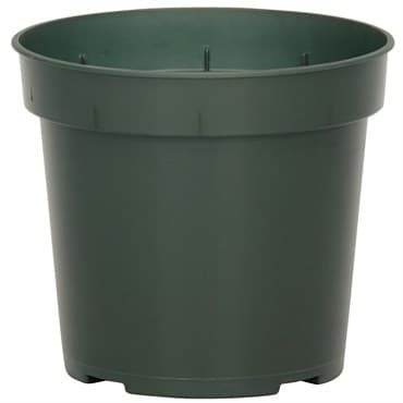 DLN 04.50 RND GER T/W 300GN        850/CS 38CS/PL — photo 1 of 2