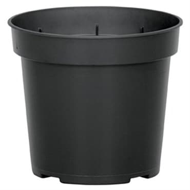 DLN 04.50 RND GER  T/W      BLK 850/CS 38CS/PL — photo 1 of 2