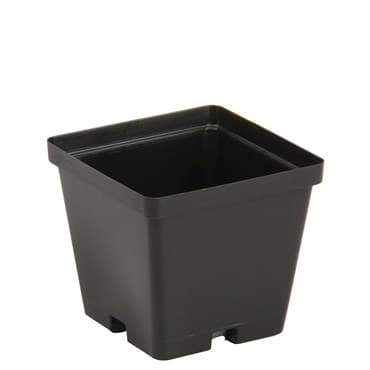 DLN 04.00 SQK04001G  T/W TL BLK 846/CS 32CS/PL — photo 1 of 2