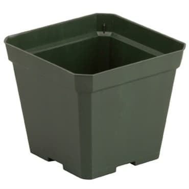 DLN 04.50 SQ TRAD T/W 300GN 765/CS 48CS/PL — photo 1 of 2