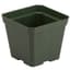 DLN 04.50 SQ TRAD T/W    300GN   765/CS 48CS/PL — thumbnail 1 of 2