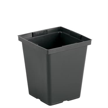 DLN 04.50 SQ DEEP PEREN T/W TL BLK 441/CS 48CS/PL — photo 1 of 2