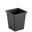 DLN 04.50 SQ DEEP PEREN T/W TL BLK 441/CS 48CS/PL — thumbnail 1 of 2