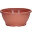 DLN 10.00 COLOR BOWL    CL 82/CS 34CS/PL — thumbnail 1 of 2