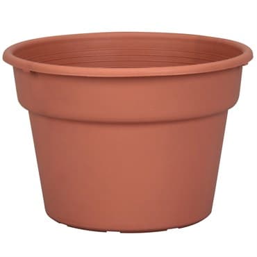 DLN 08.00 COLOR POT TL   CL 58/CS 60CS/PL — photo 1 of 2