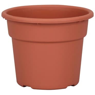 DLN 06.00 COLOR POT TL  CL 98/CS SEASONAL 66CS/PL — photo 1 of 2