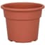 DLN 06.00 COLOR POT TL  CL 98/CS SEASONAL 66CS/PL — thumbnail 1 of 2