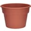 DLN 12.00 COLOR POT 1   CL 28/CS 48CS/PL — thumbnail 1 of 2