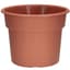 DLN 12.00 COLOR POT 2 TL      CL 40/CS 32CS/PL — thumbnail 1 of 2