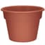 DLN 14.00 COLOR POT              CL 20/CS 36CS/PL — thumbnail 1 of 2