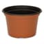 DLN 08.00X05.00 MUMPAN COEX TC/BLK 170/CS 45CS/PL — thumbnail 1 of 2