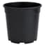 DLN 01.00QT PEREN POT T/W TL  BLK 475/CS 33CS/PL — thumbnail 1 of 2
