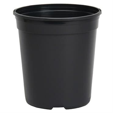 DLN TRADE 01.00GL TL T1G 2     BLK 128/CS 48CS/PL — photo 1 of 2
