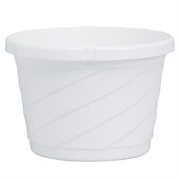 DLN 06.00 EURO SL HB NO HGR  WHT 100/CS 60CS/PL — photo 1 of 2