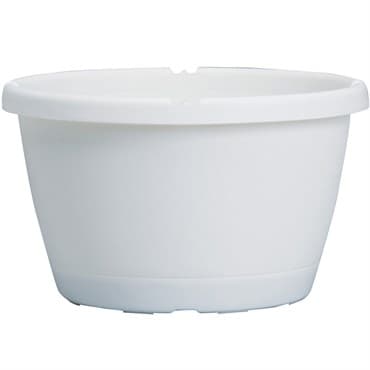 DLN 12.00 TRAD SL HB NO HGR WHT 50/CS 28CS/PL — photo 1 of 2