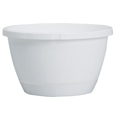 DLN 10.00 TRAD 2 WS HB NO HGR WHT 50/CS 36CS/PL — photo 1 of 2