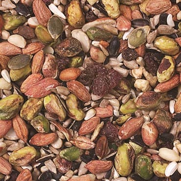 Wild Delight 20# Woodpecker Nuthatch Food MADE IN THE USA — photo 1 of 2