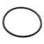 NET O-RING FOR 3/4IN ARKAL FILTER 25AP530140 — thumbnail 1 of 2