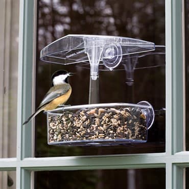 Droll Yankee 7"x3"x2" Observer Window Feeder — photo 1 of 2