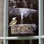 Droll Yankee 7"x3"x2" Observer Window Feeder — thumbnail 1 of 2