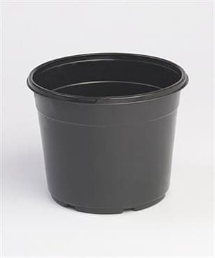 Landmark 06.50 Round Azalea Maxi Grow Coex Black 240/Cs X-65Amgt — photo 1 of 2