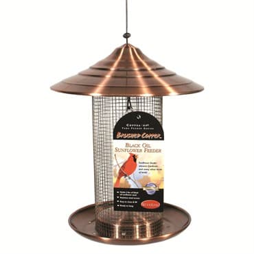 Audubon Woodlink Coppertop Sunflower Tube Feeder — photo 1 of 2