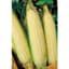 Corn, White Truckers Favorite O.P. 1lb — thumbnail 1 of 2