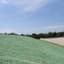 American Excelsior Curlex Single Quick Grass 4'x100' — thumbnail 1 of 2