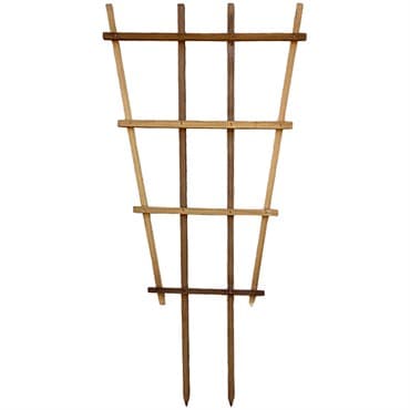 A&G 2'x4' Fan Espalier Trellis — photo 1 of 2