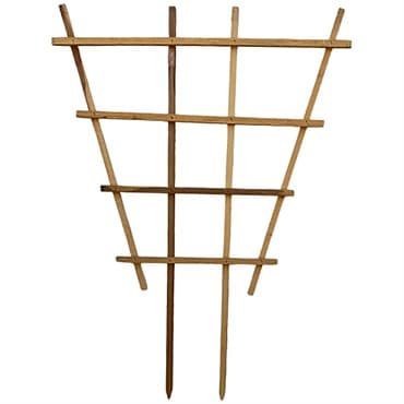 A&G 3'x4' Fan Espalier Trellis — photo 1 of 2