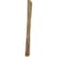A&G 5/8"x5' Bamboo Stake — thumbnail 1 of 2