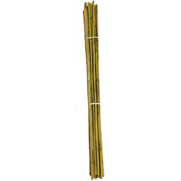 A&G 3/4"x6' Bamboo Stake — photo 1 of 2