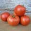 Tomato, Early Girl 500 Seed Count — thumbnail 1 of 2