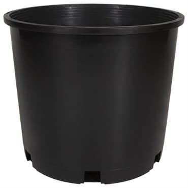 HC #5 5Gal Squat Nursery Container Black 25 Per Bundle Akro Mils — photo 1 of 2