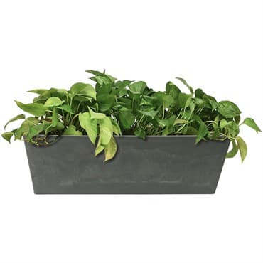 Algreen Valencia 20"x7.5"x7" Window Planter Concrete — photo 1 of 2