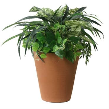 Algreen 16" Olympus Self Water Planter Terra Cotta — photo 1 of 2