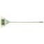 Ames 22" Steel Leaf Rake Ash Handle 15Yr — thumbnail 1 of 2