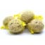 A&E Cage Garden & Fun 6pk Round Suet Balls Brown — thumbnail 1 of 2