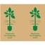Paper Trunk Liner 38" Thank You 300 Sheets 1100ft Roll Cut to Size — thumbnail 1 of 2