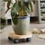 TDI Round Natural Wood Plant Caddy — thumbnail 1 of 2