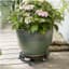 TDI Medium Round Aluminum Plant Caddy Black — thumbnail 1 of 2